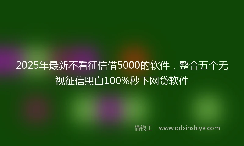 2025年最新不看征信借5000的软件，整合五个无视征信黑白100%秒下网贷软件