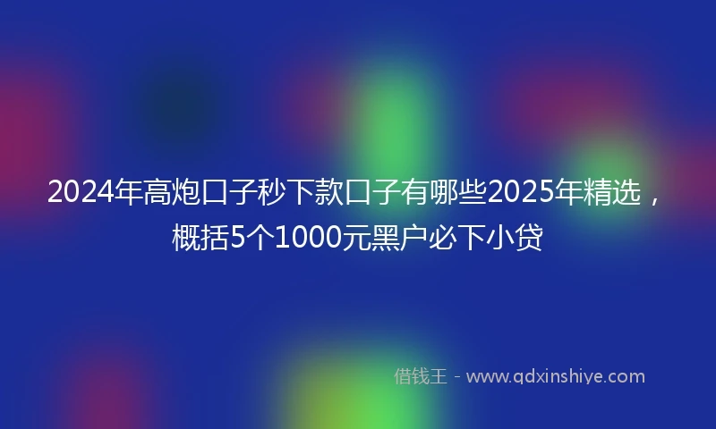2024年高炮口子秒下款口子有哪些2025年精选，概括5个1000元黑户必下小贷