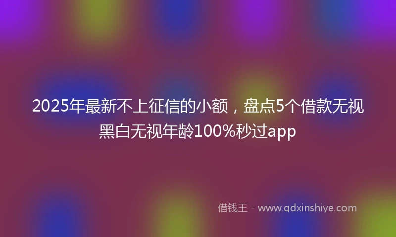 2025年最新不上征信的小额，盘点5个借款无视黑白无视年龄100%秒过app
