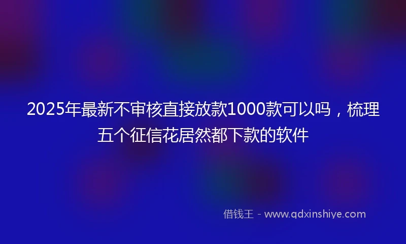 2025年最新不审核直接放款1000款可以吗，梳理五个征信花居然都下款的软件