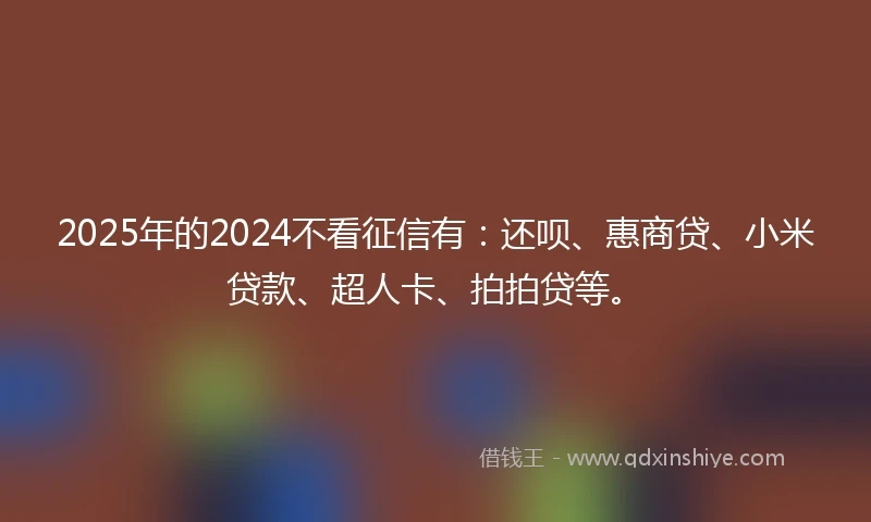 2025年的2024不看征信有：还呗、惠商贷、小米贷款、超人卡、拍拍贷等。