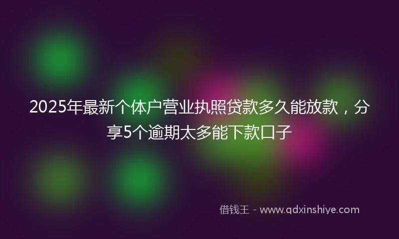 2025年最新个体户营业执照贷款多久能放款，分享5个逾期太多能下款口子