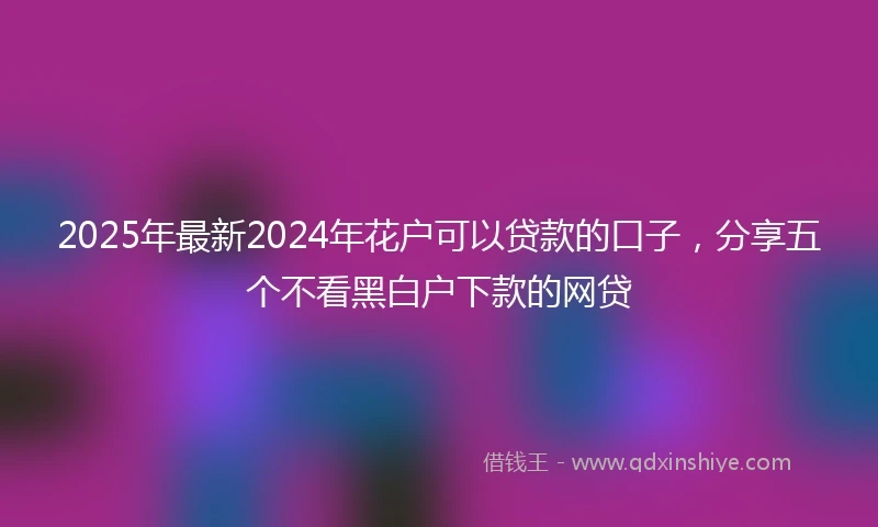 2025年最新2024年花户可以贷款的口子，分享五个不看黑白户下款的网贷
