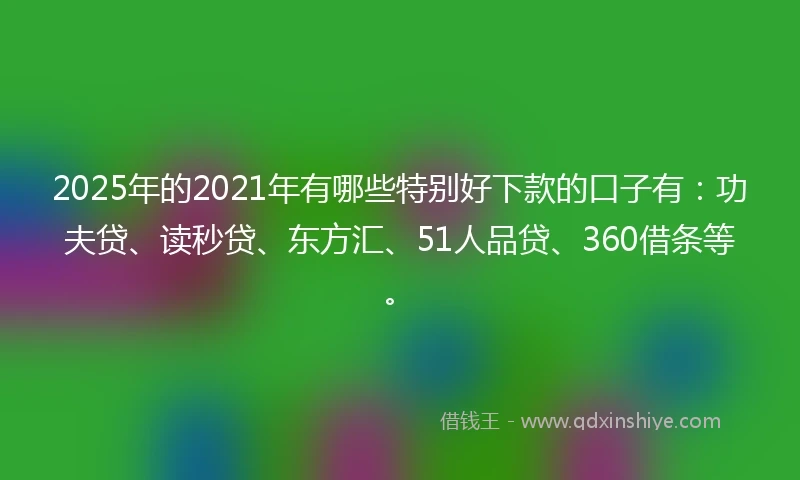 2025年的2021年有哪些特别好下款的口子有：功夫贷、读秒贷、东方汇、51人品贷、360借条等。