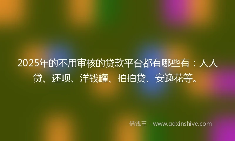 2025年的不用审核的贷款平台都有哪些有：人人贷、还呗、洋钱罐、拍拍贷、安逸花等。