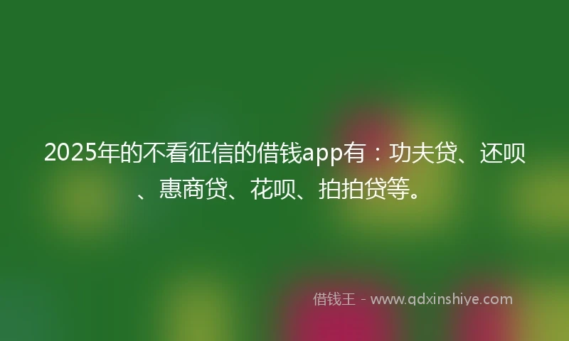 2025年的不看征信的借钱app有：功夫贷、还呗、惠商贷、花呗、拍拍贷等。