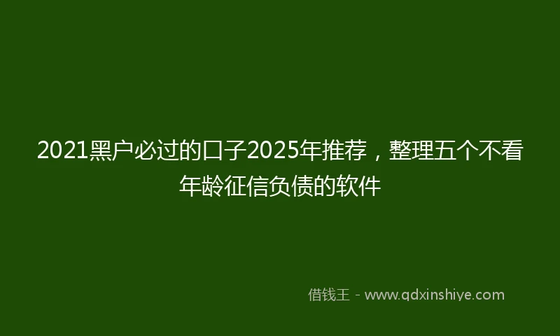 2021黑户必过的口子2025年推荐，整理五个不看年龄征信负债的软件