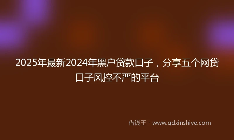 2025年最新2024年黑户贷款口子，分享五个网贷口子风控不严的平台