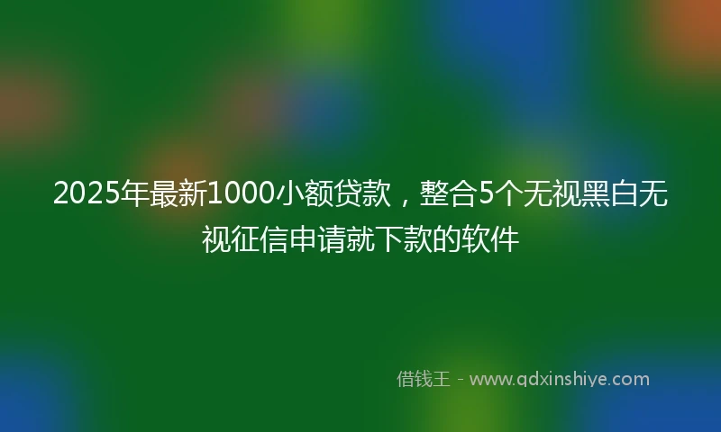 2025年最新1000小额贷款，整合5个无视黑白无视征信申请就下款的软件