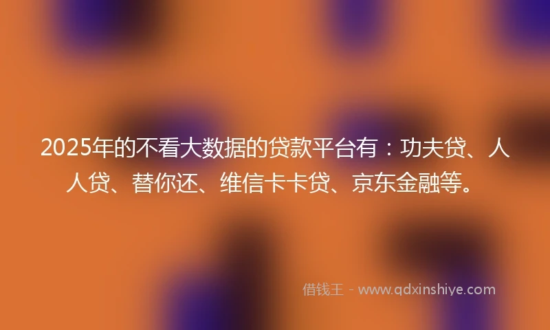2025年的不看大数据的贷款平台有：功夫贷、人人贷、替你还、维信卡卡贷、京东金融等。