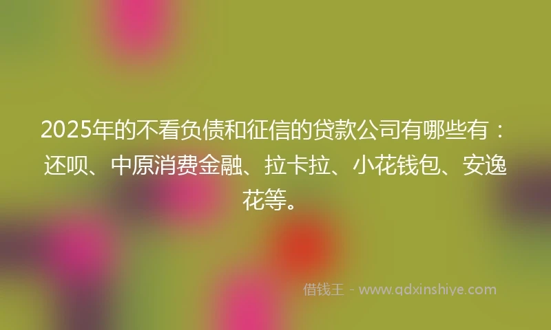 2025年的不看负债和征信的贷款公司有哪些有：还呗、中原消费金融、拉卡拉、小花钱包、安逸花等。