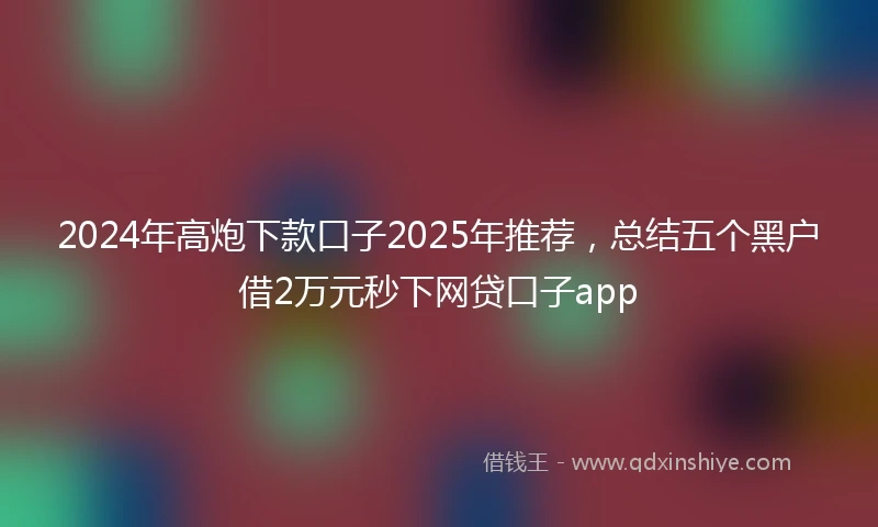 2024年高炮下款口子2025年推荐，总结五个黑户借2万元秒下网贷口子app