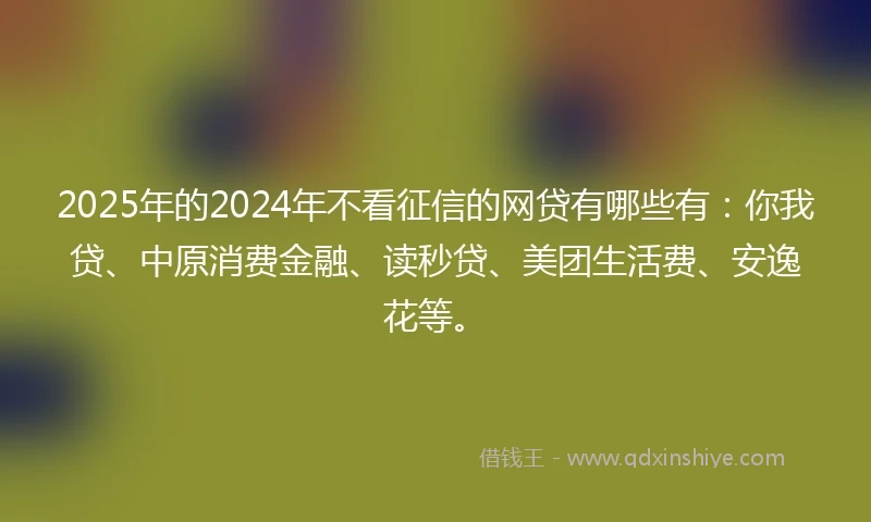 2025年的2024年不看征信的网贷有哪些有：你我贷、中原消费金融、读秒贷、美团生活费、安逸花等。