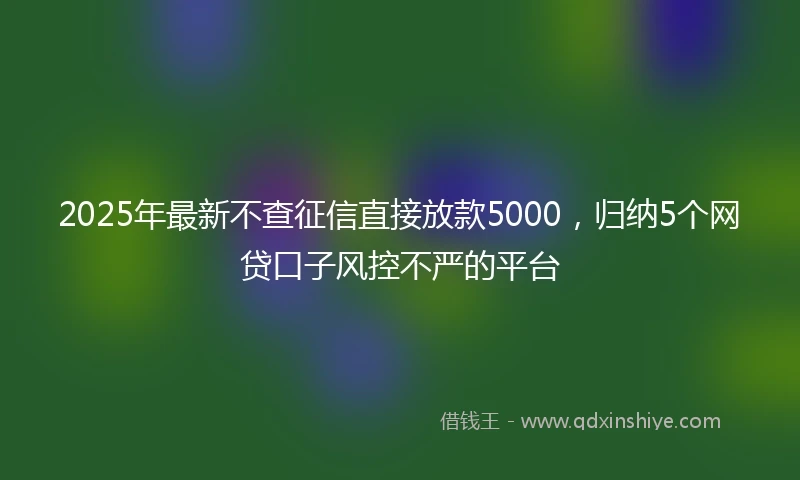 2025年最新不查征信直接放款5000，归纳5个网贷口子风控不严的平台