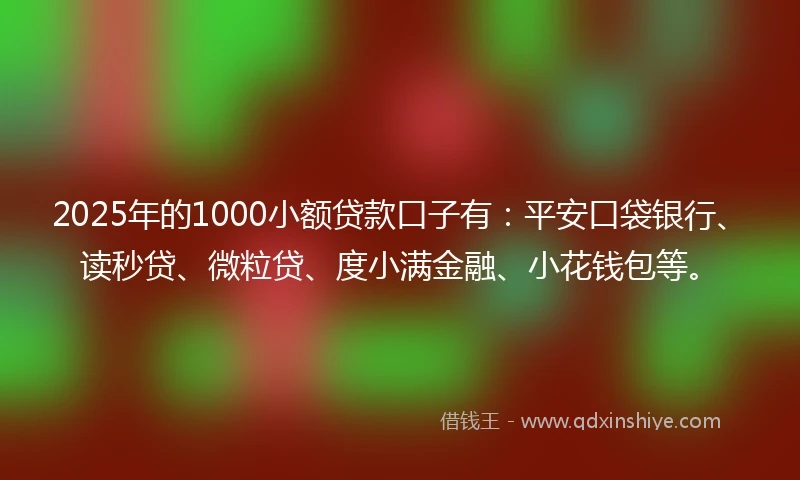 2025年的1000小额贷款口子有：平安口袋银行、读秒贷、微粒贷、度小满金融、小花钱包等。