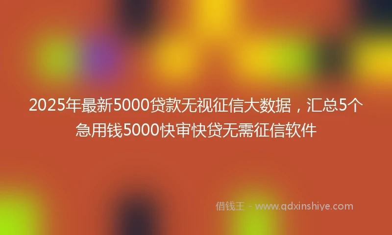 2025年最新5000贷款无视征信大数据，汇总5个急用钱5000快审快贷无需征信软件