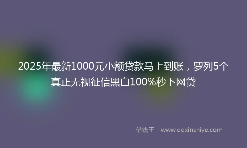 2025年最新1000元小额贷款马上到账，罗列5个真正无视征信黑白100%秒下网贷