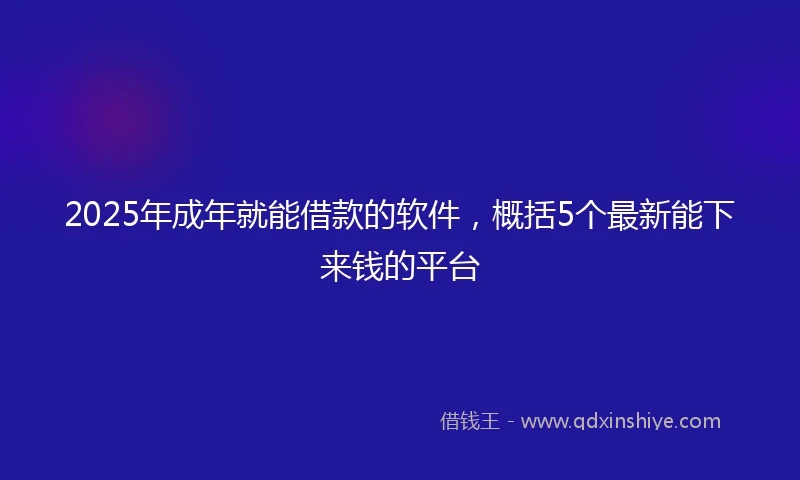 2025年成年就能借款的软件，概括5个最新能下来钱的平台