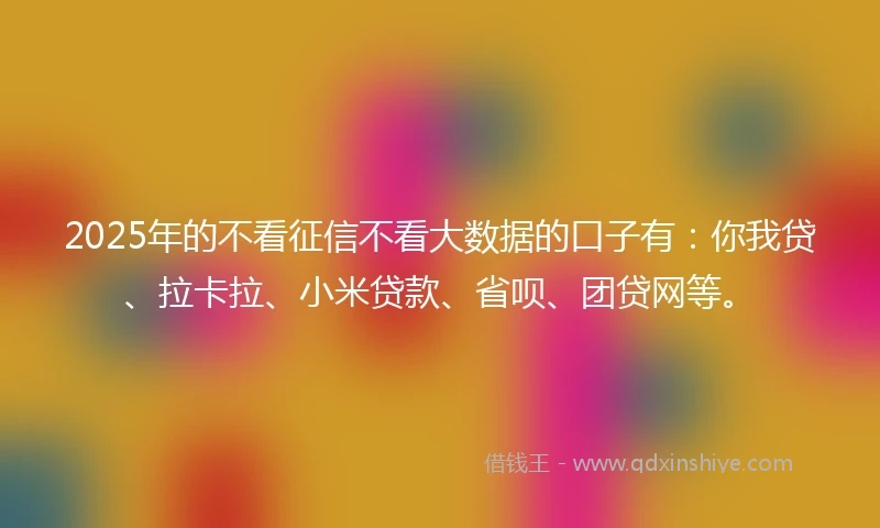 2025年的不看征信不看大数据的口子有:你我贷、拉卡拉、小米贷款、省呗、团贷网等。