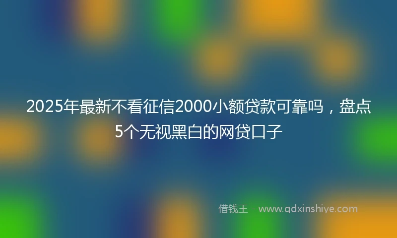 2025年最新不看征信2000小额贷款可靠吗，盘点5个无视黑白的网贷口子