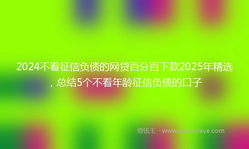 2024不看征信负债的网贷百分百下款2025年精选，总结5个不看年龄征信负债的口子