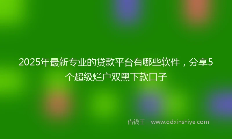 2025年最新专业的贷款平台有哪些软件，分享5个超级烂户双黑下款口子