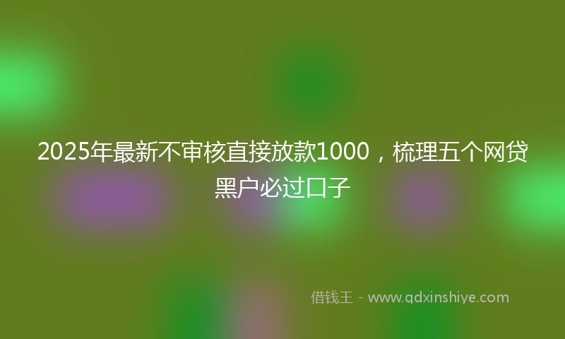 2025年最新不审核直接放款1000，梳理五个网贷黑户必过口子