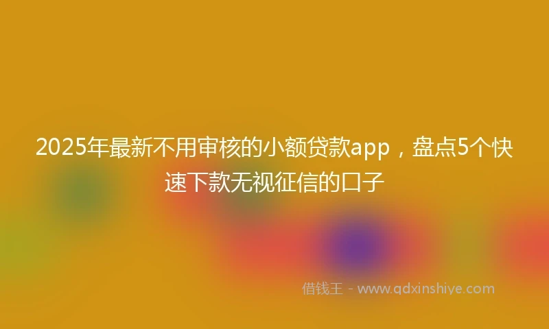 2025年最新不用审核的小额贷款app，盘点5个快速下款无视征信的口子