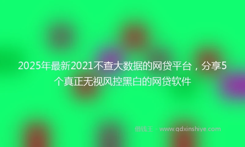 2025年最新2021不查大数据的网贷平台，分享5个真正无视风控黑白的网贷软件