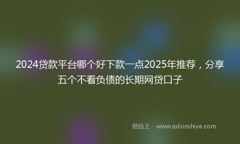2024贷款平台哪个好下款一点2025年推荐，分享五个不看负债的长期网贷口子