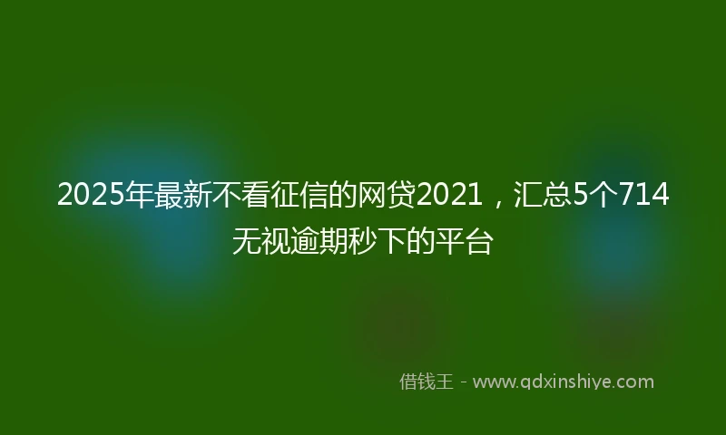 2025年最新不看征信的网贷2021，汇总5个714无视逾期秒下的平台
