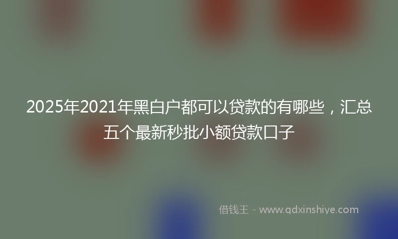 2025年2021年黑白户都可以贷款的有哪些，汇总五个最新秒批小额贷款口子