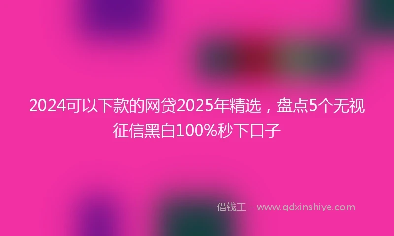 2024可以下款的网贷2025年精选，盘点5个无视征信黑白100%秒下口子