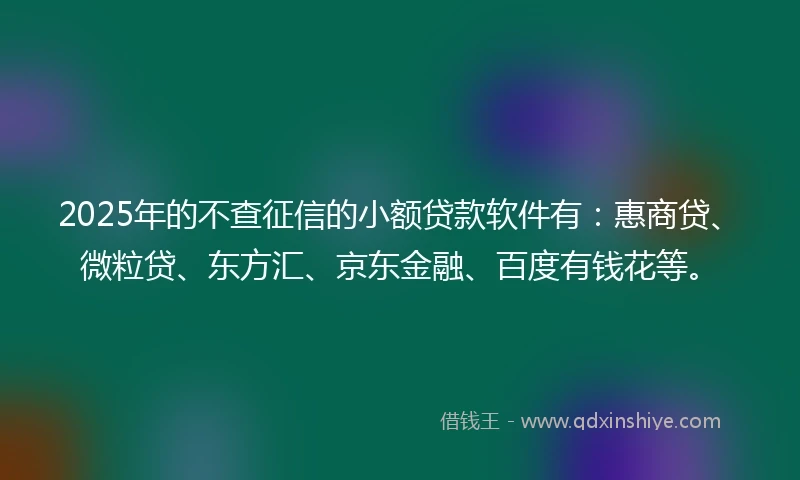 2025年的不查征信的小额贷款软件有：惠商贷、微粒贷、东方汇、京东金融、百度有钱花等。