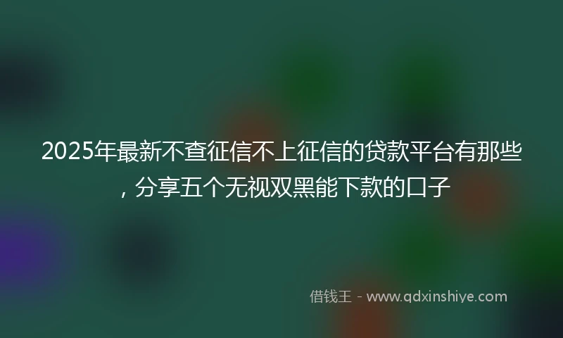 2025年最新不查征信不上征信的贷款平台有那些，分享五个无视双黑能下款的口子