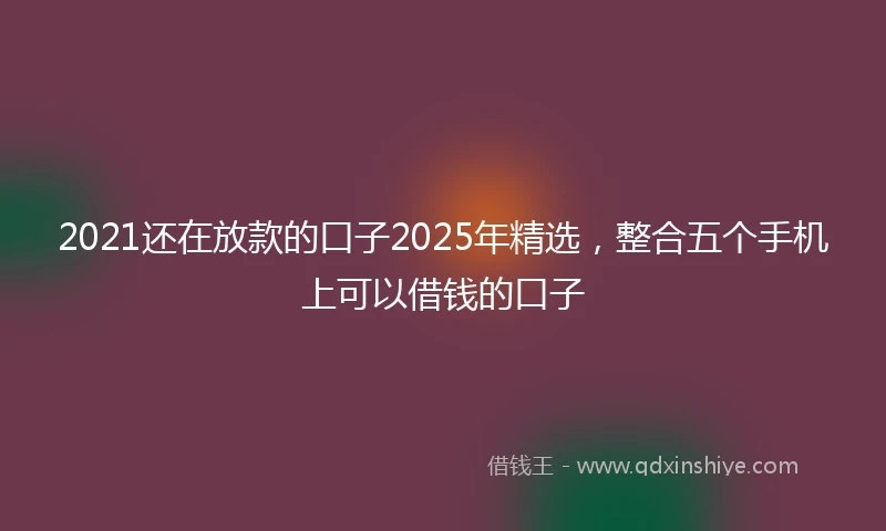 2021还在放款的口子2025年精选，整合五个手机上可以借钱的口子