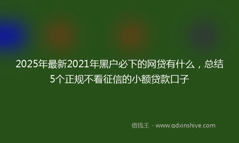 2025年最新2021年黑户必下的网贷有什么，总结5个正规不看征信的小额贷款口子