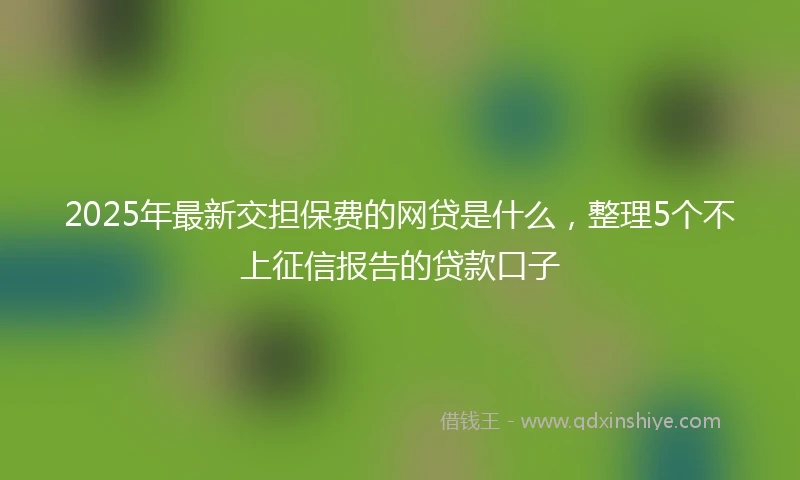 2025年最新交担保费的网贷是什么，整理5个不上征信报告的贷款口子