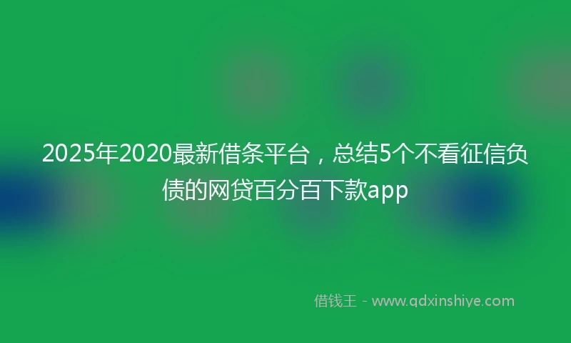 2025年2020最新借条平台，总结5个不看征信负债的网贷百分百下款app