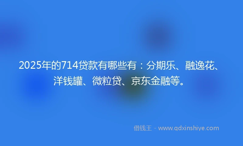 2025年的714贷款有哪些有：分期乐、融逸花、洋钱罐、微粒贷、京东金融等。