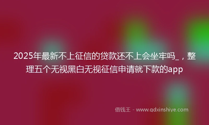 2025年最新不上征信的贷款还不上会坐牢吗_，整理五个无视黑白无视征信申请就下款的app