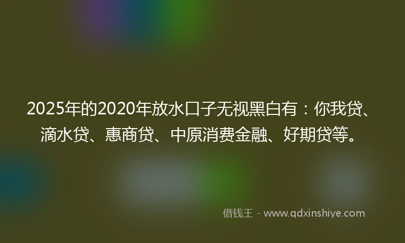 2025年的2020年放水口子无视黑白有：你我贷、滴水贷、惠商贷、中原消费金融、好期贷等。