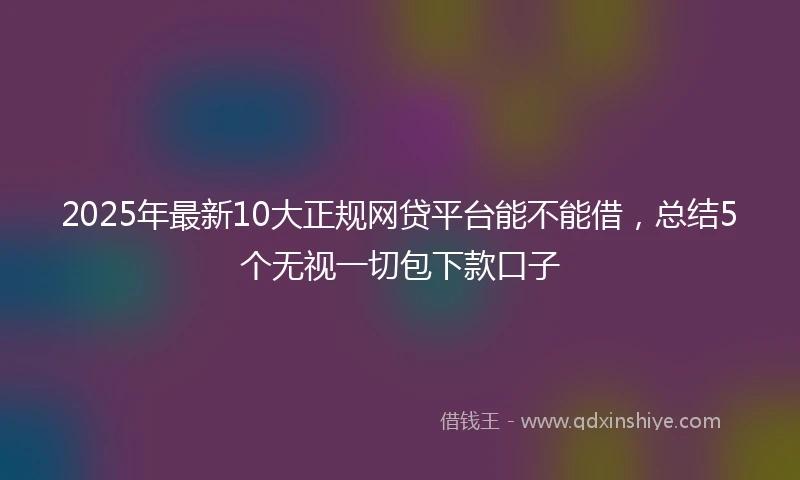 2025年最新10大正规网贷平台能不能借，总结5个无视一切包下款口子