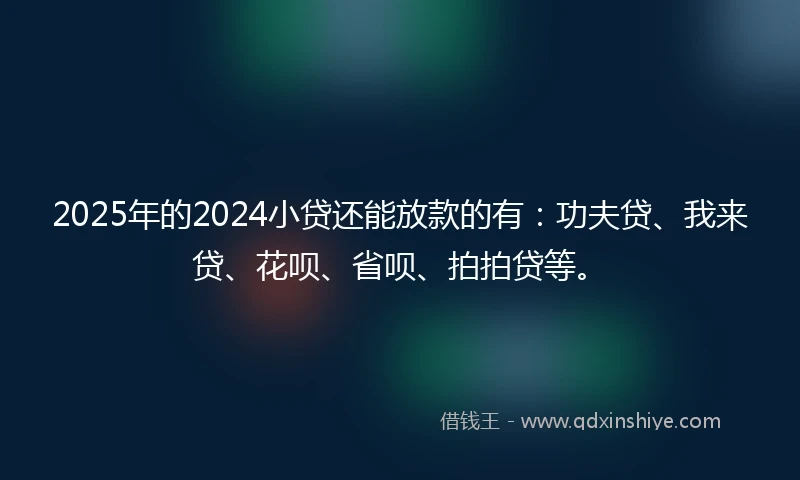 2025年的2024小贷还能放款的有：功夫贷、我来贷、花呗、省呗、拍拍贷等。