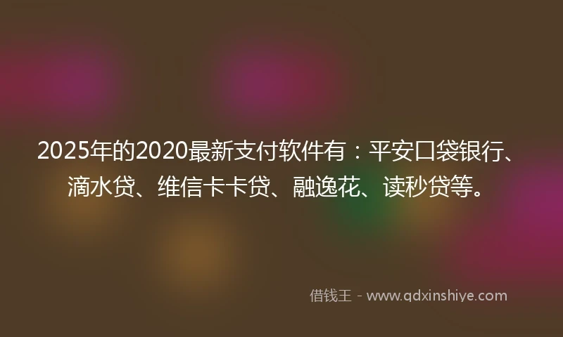 2025年的2020最新支付软件有：平安口袋银行、滴水贷、维信卡卡贷、融逸花、读秒贷等。