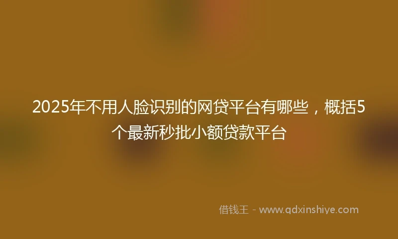 2025年不用人脸识别的网贷平台有哪些，概括5个最新秒批小额贷款平台