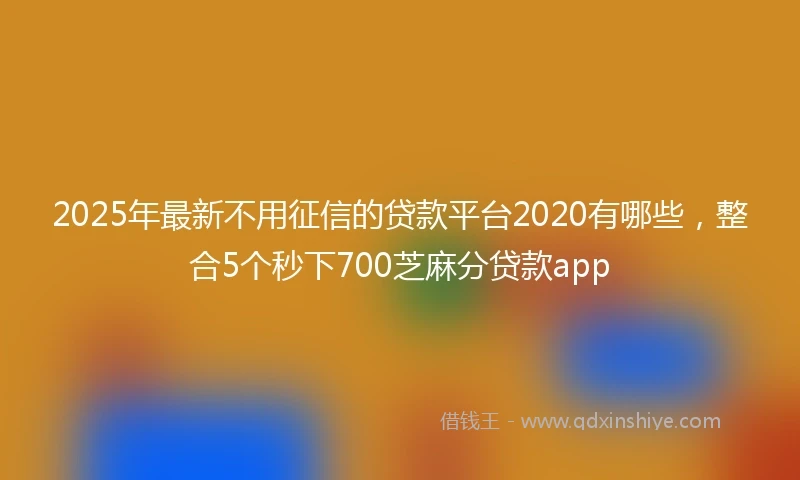 2025年最新不用征信的贷款平台2020有哪些，整合5个秒下700芝麻分贷款app