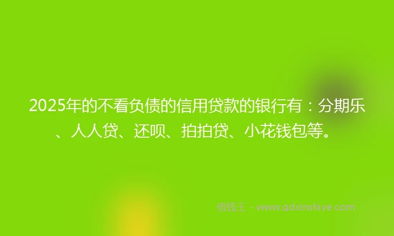 2025年的不看负债的信用贷款的银行有：分期乐、人人贷、还呗、拍拍贷、小花钱包等。