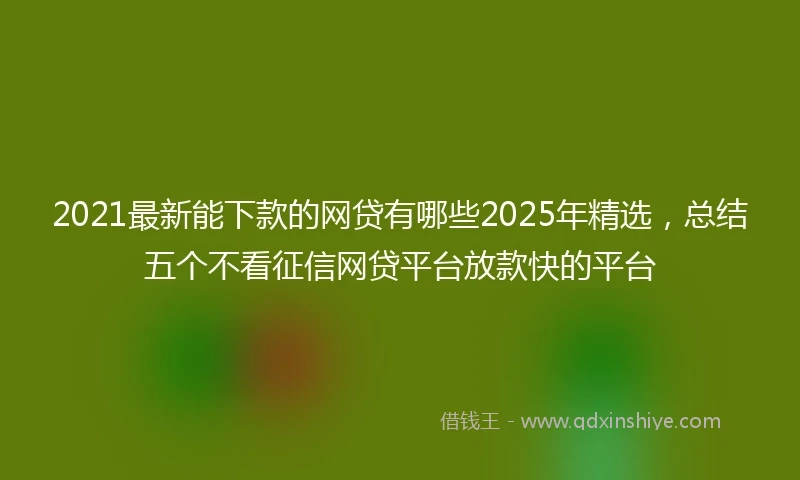 2021最新能下款的网贷有哪些2025年精选，总结五个不看征信网贷平台放款快的平台