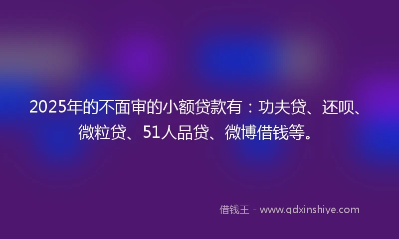 2025年的不面审的小额贷款有：功夫贷、还呗、微粒贷、51人品贷、微博借钱等。
